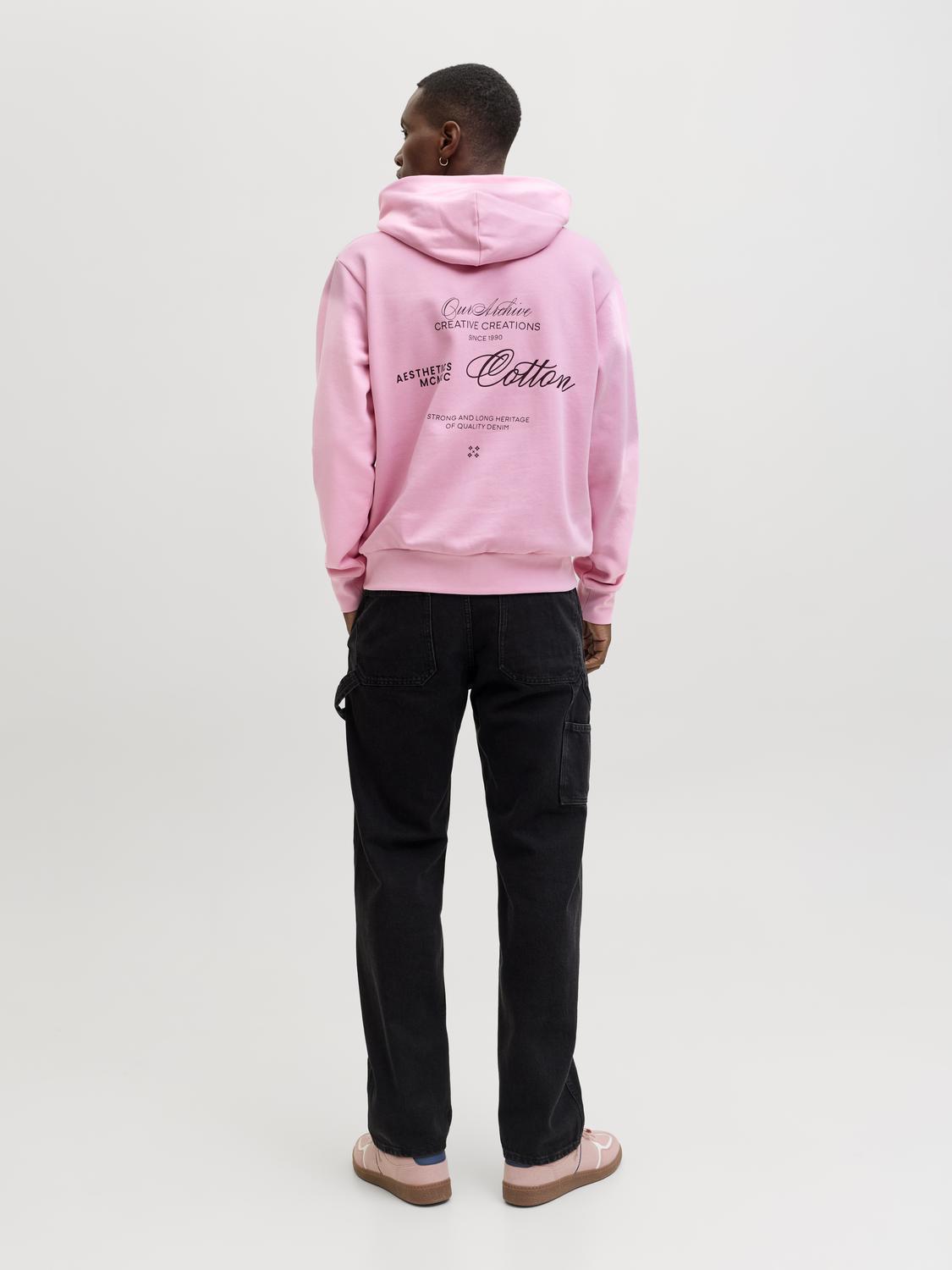 model_shot-back
